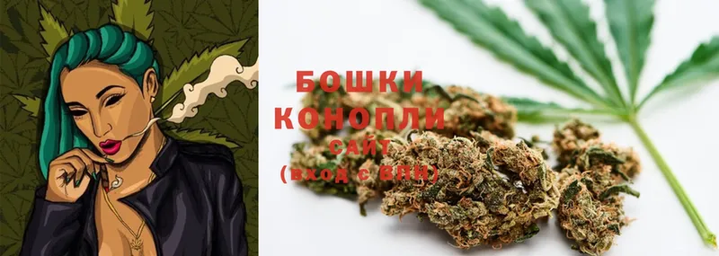 MEGA ссылка  цены   Истра  МАРИХУАНА White Widow 